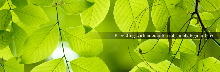 Providing with adequate and timely legal advice